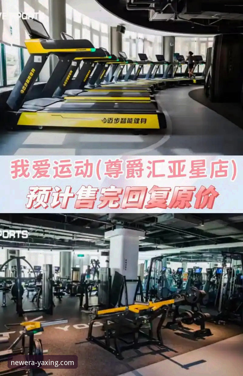 亚星官方网站评测：资深用户分享2025新版使用心得与实战经验